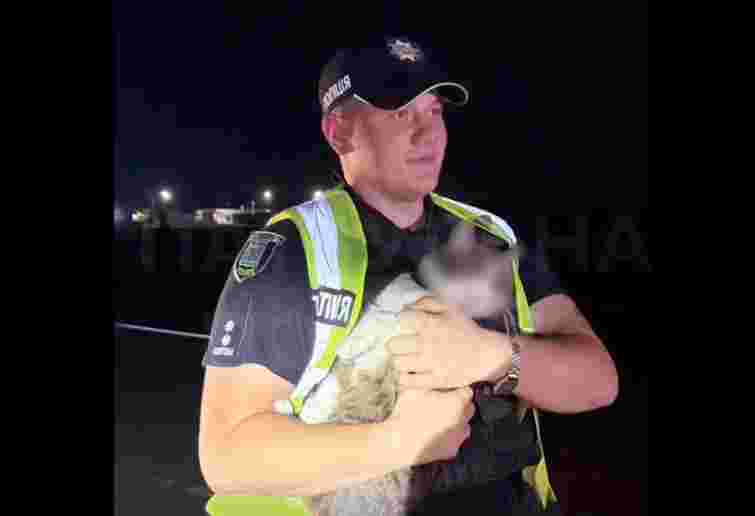 У Рівному водій під наркотиками та з котом у салоні тікав від поліції