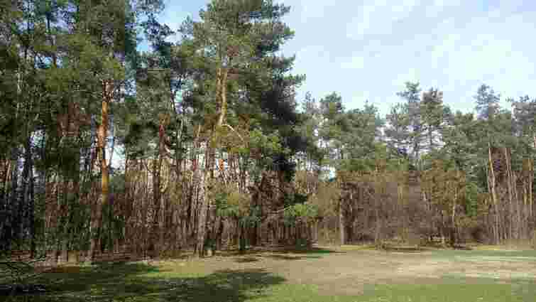 Суд повернув Міноборони ділянку вартістю 30 млн грн на Львівщині