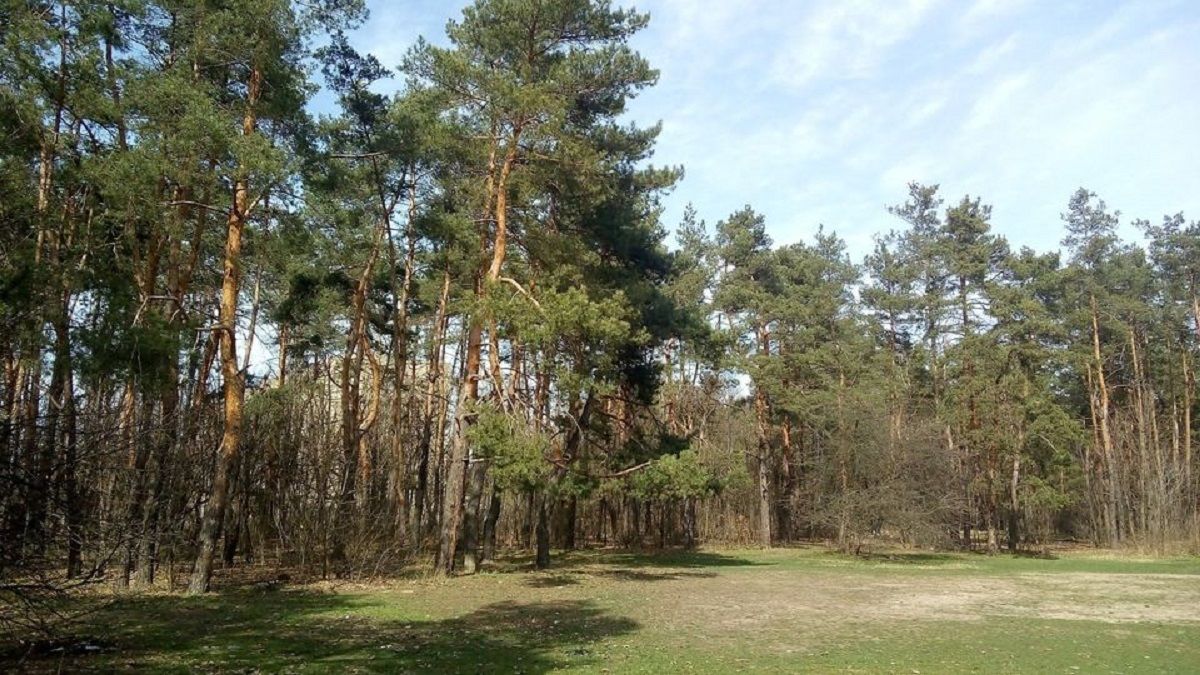 Суд повернув Міноборони ділянку вартістю 30 млн грн на Львівщині