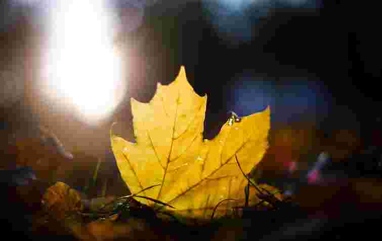 Осіннє рівнодення 2025: які давні традиції зберігають силу й сьогодні