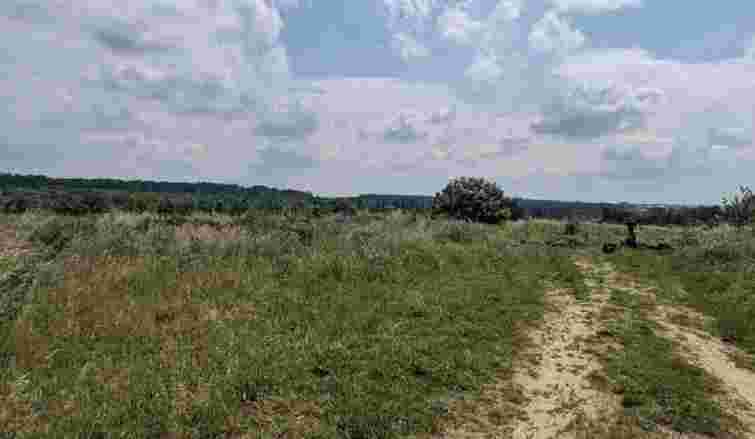 Суд остаточно повернув громаді Львова понад 3 га заказника «Торфовище Білогорща»