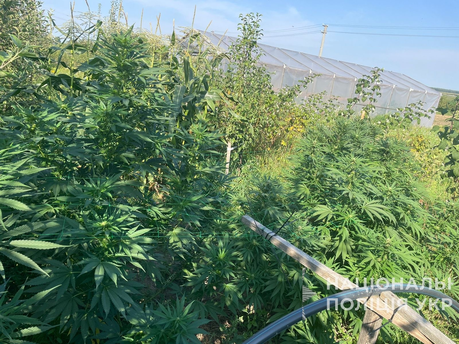 За місцями проживання та в автомобілях підозрюваних провели обшуки (фото поліції)