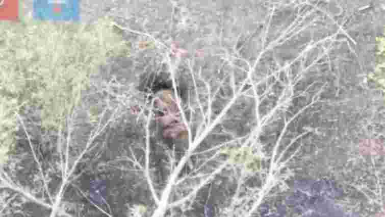 Генштаб прокоментував повідомлення про проникнення росіян у Куп'янськ трубопроводом