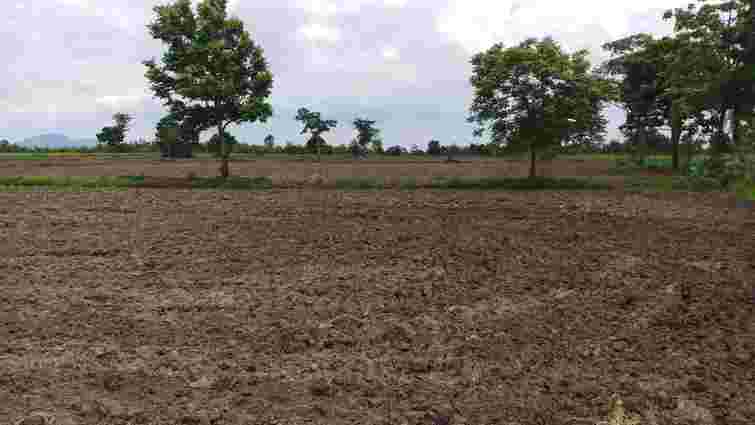 Добрива восени: що варто знати для збереження родючості ґрунту