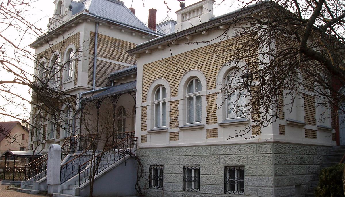 Чому потрібно обʼєднати музеї Франка й Грушевського
