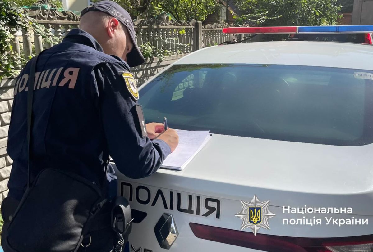 Прикарпатець в’їхав в отару овець і залишив тварин помирати на дорозі