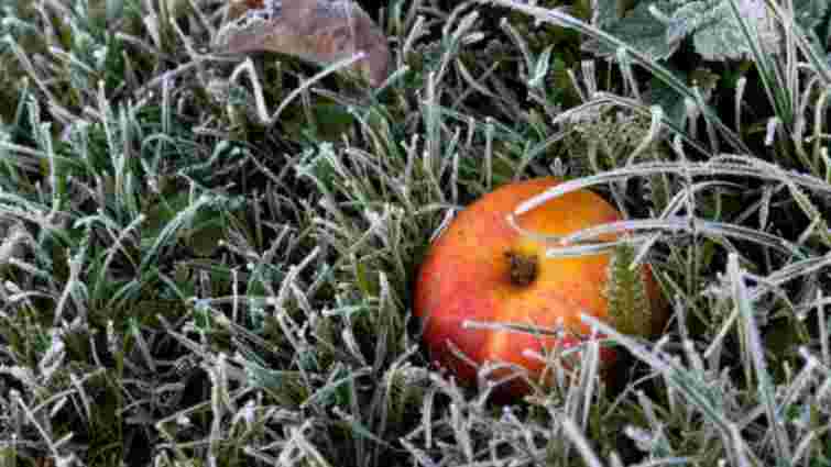 Синоптики попередили про перші заморозки у західних областях України