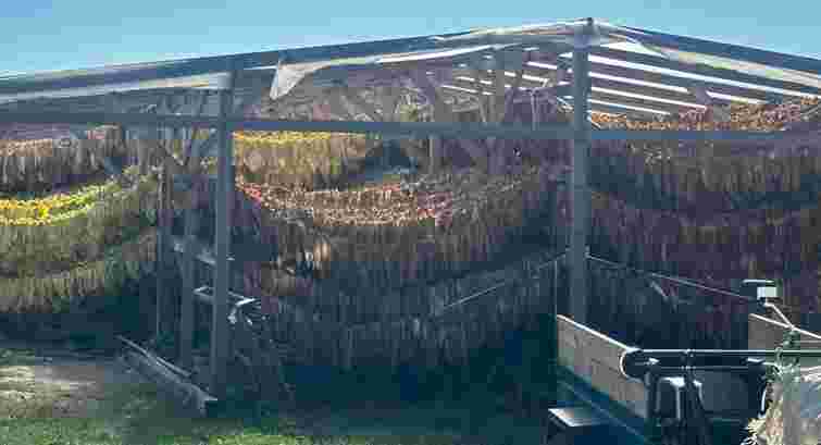 На Тернопільщині ліквідували підпільний цех із 18 тоннами тютюну