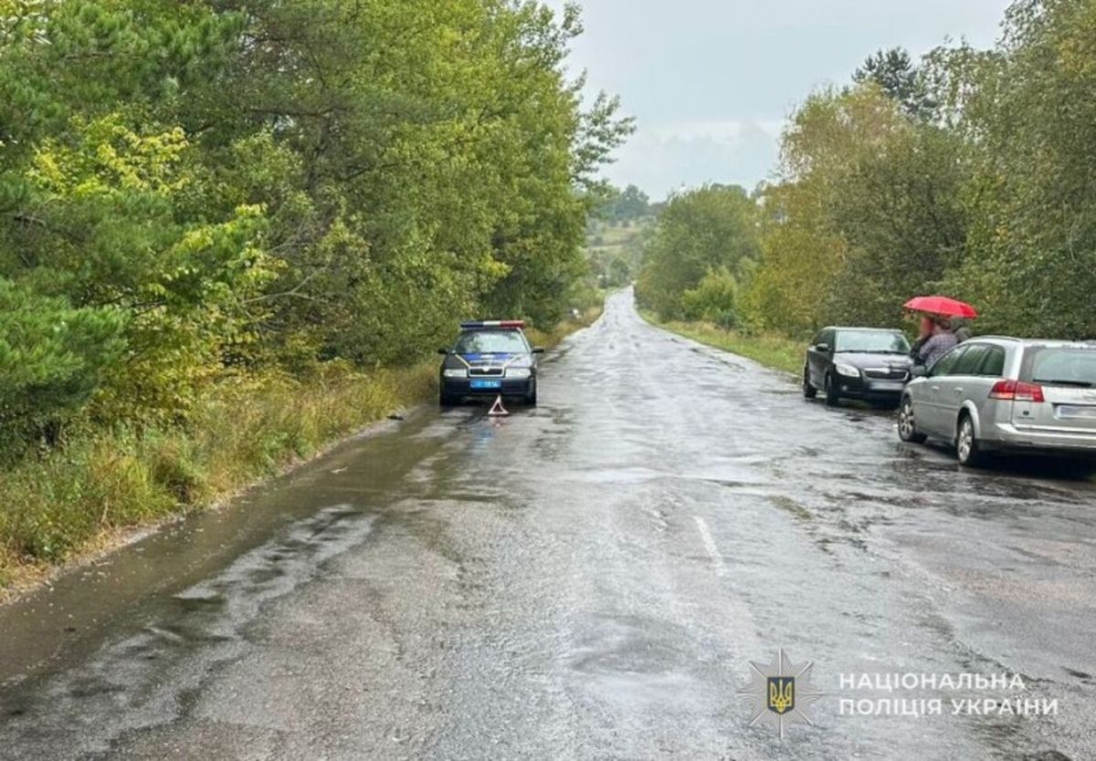 49-річний львівʼянин на смерть збив 57-річного пішохода біля Свіржа