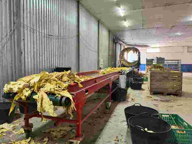 Біля кордону з Молдовою виявили підпільні цехи з 25 тоннами тютюну