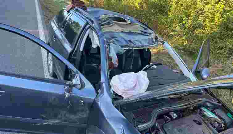 На Львівщині сталася смертельна ДТП через лося, який вибіг на трасу