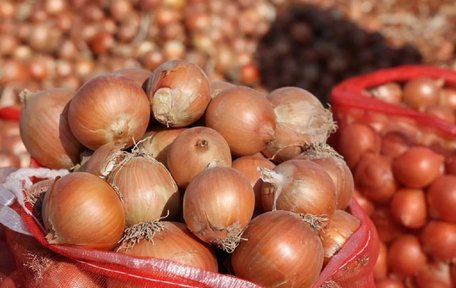 Холодильник не підійде: де і як зберігати цибулю, щоб вона довго не псувалася