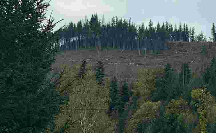 Поліцейські викрили розкрадання землі поблизу «Буковелю» вартістю 14 млн грн