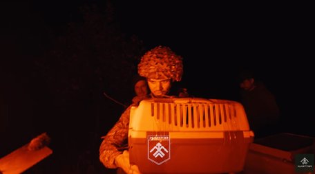 Нацгвардійці за допомогою наземного робота евакуювали з фронту кота. Відео дня