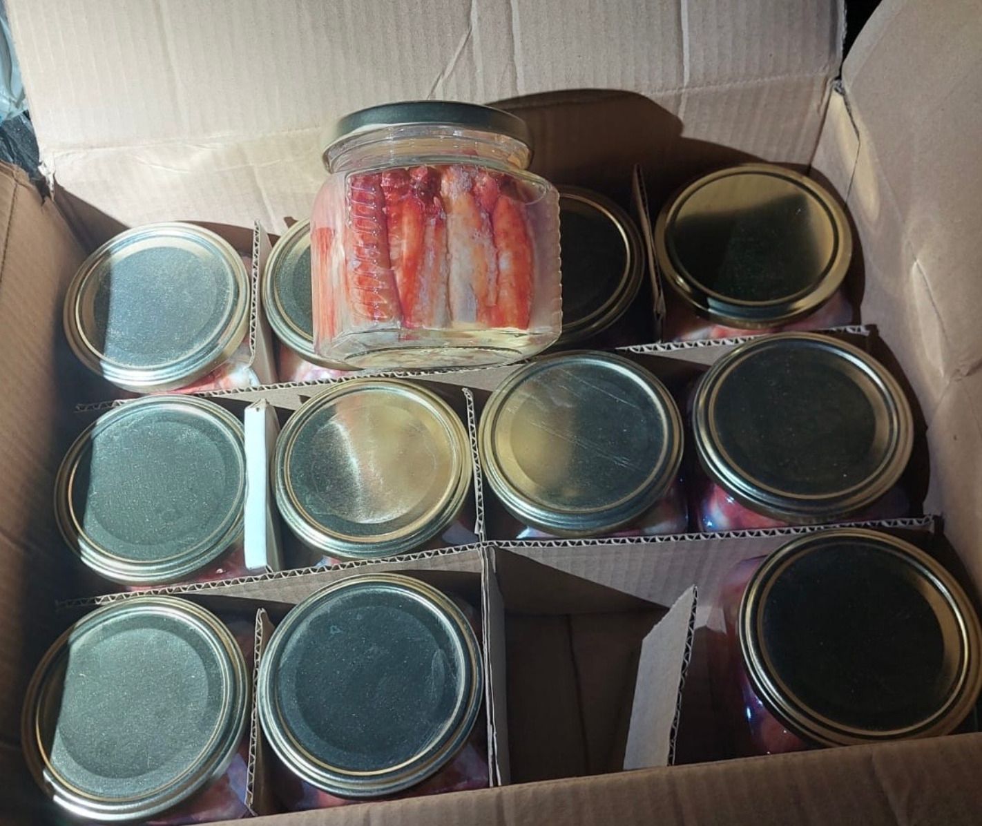 Волинські митники зупинили водія буса, який намагався ввезти ікру з Росії (фото митниці)