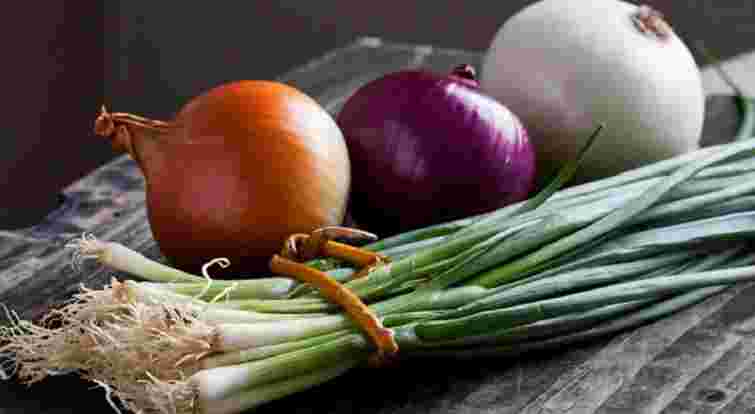 Біла, жовта чи фіолетова: яка цибуля корисніша для здоровʼя і кому її треба їсти щодня