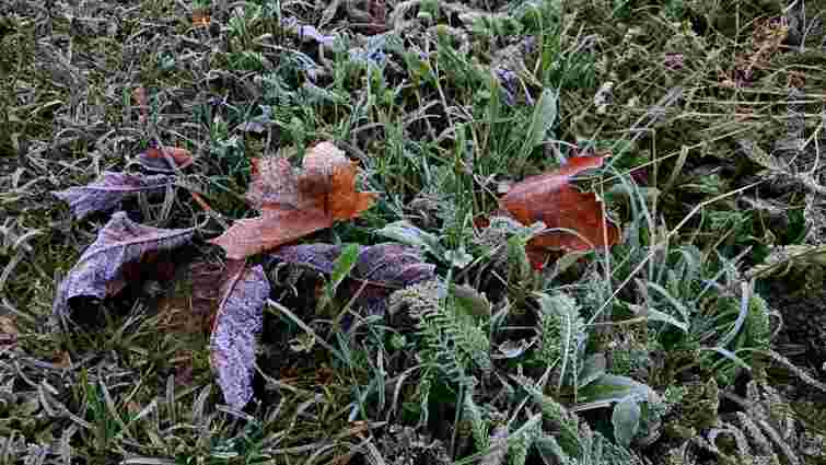 Синоптики прогнозують мокрий сніг та заморозки на Львівщині
