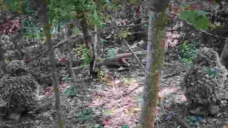 Бійці ССО впритул розбили позиції елітної російської бригади