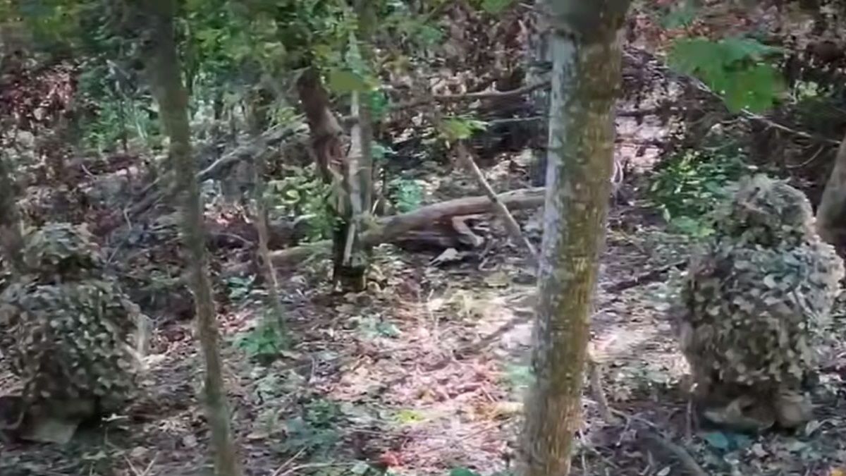 Бійці ССО впритул розбили позиції елітної російської бригади