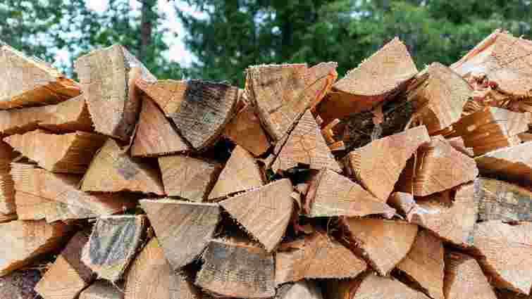 Це має велике значення: якими дровами найкраще опалювати будинок