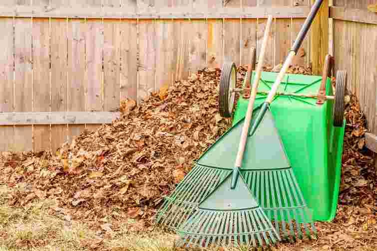 Плануйте свій час: посівний календар садово-городніх робіт на жовтень 2025 року