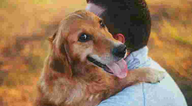 У печінці 57-річного мешканця Львівщини виявили рідкісних гельмінтів