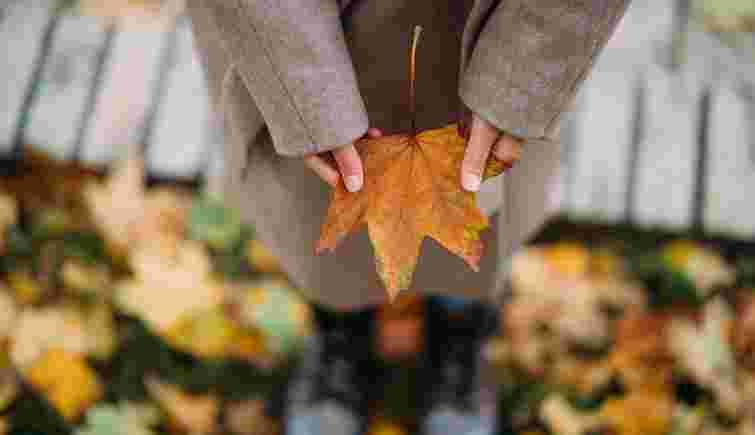 Довгоочікуване потепління: синоптики розповіли про погоду у Львові на вихідні