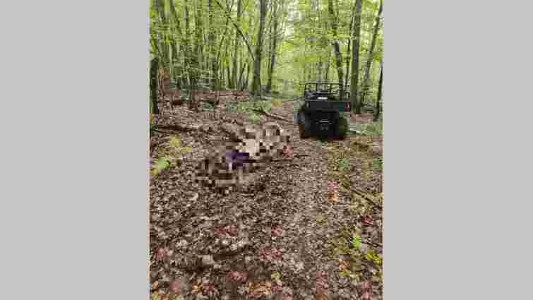 Гірські рятувальники знайшли у лісі на Стрийщині тіло зниклого 57-річного чоловіка 