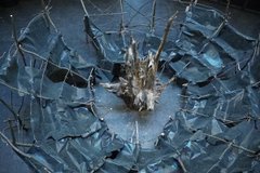 У Львові триває артпроєкт «Цивілізація» Влодка Кауфмана
