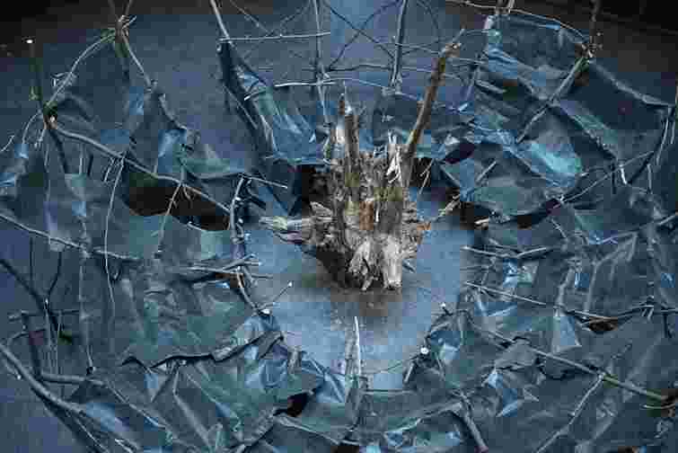 У Львові триває артпроєкт «Цивілізація» Влодка Кауфмана
