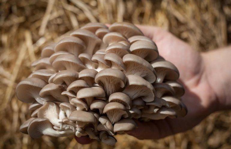 Фото Womans World