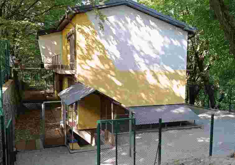 Син заступника мера Тернополя веде бізнес у коворкінгу для переселенців