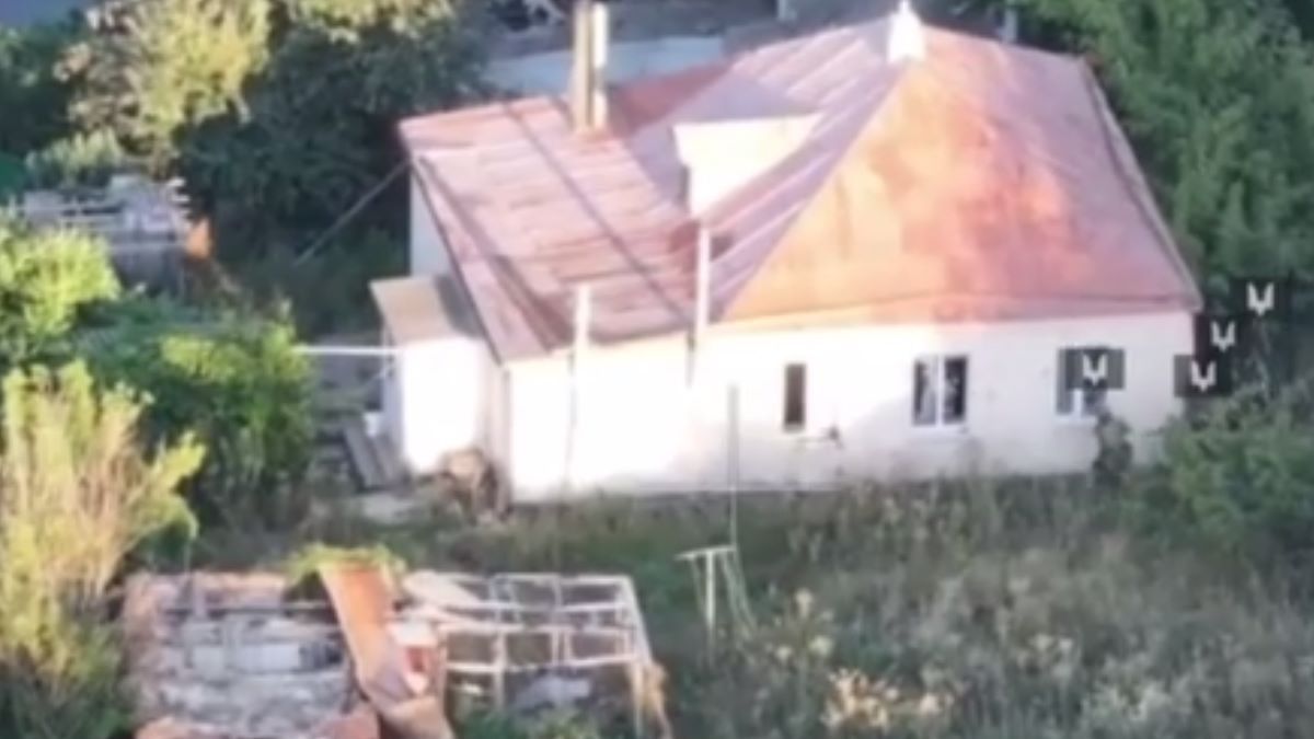 Сили спеціальних операцій зірвали просування росіян на Купʼянському напрямку