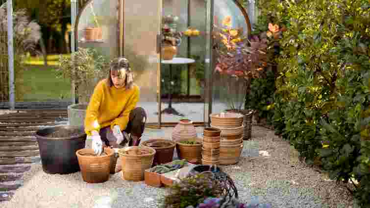 Осінь у теплиці: що потрібно зробити до перших морозів