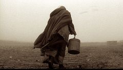 Шість фільмів за творами лауреатів Нобелівської премії з літератури