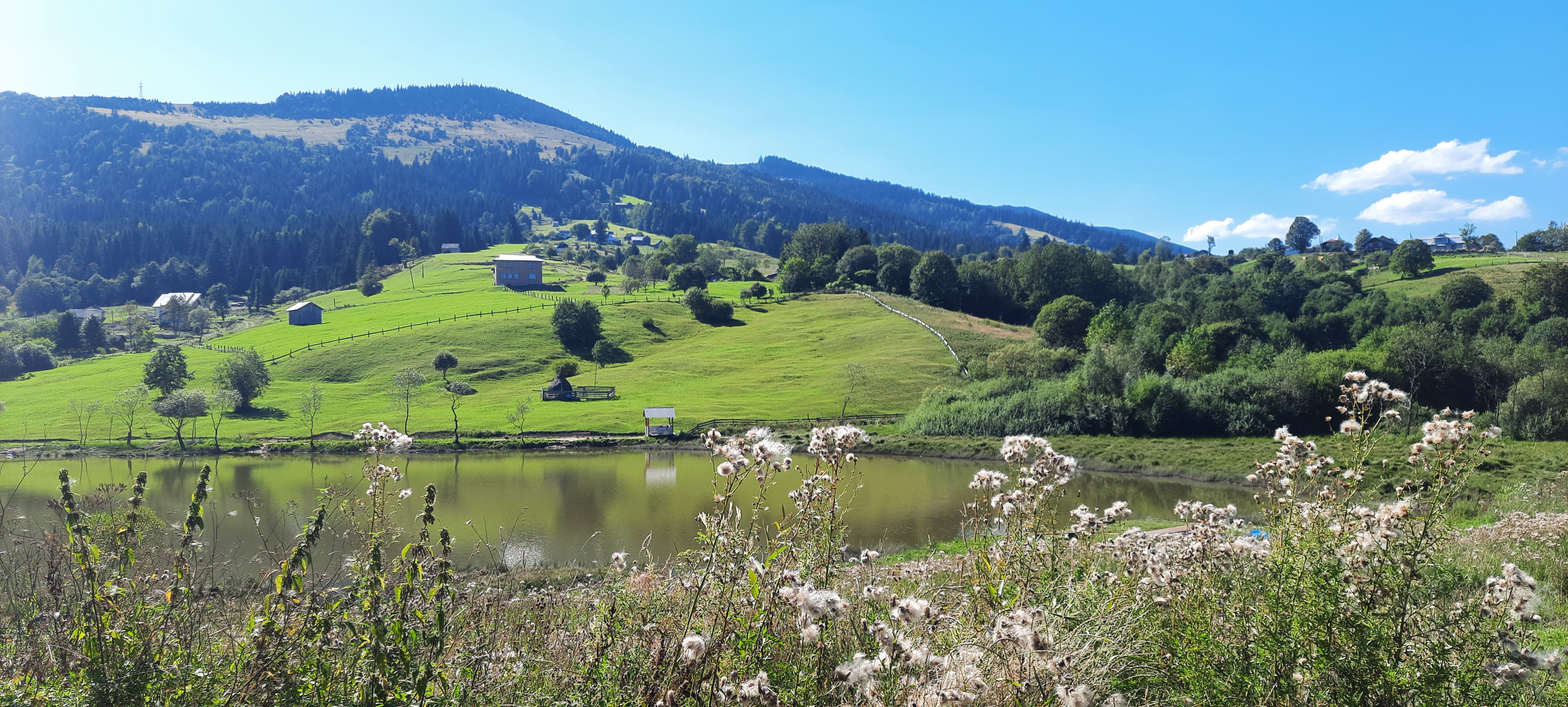 Краєвиди дорогою до Лади (фото ZAXID.NET)