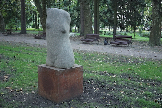 Олександр Дяченко. Торс