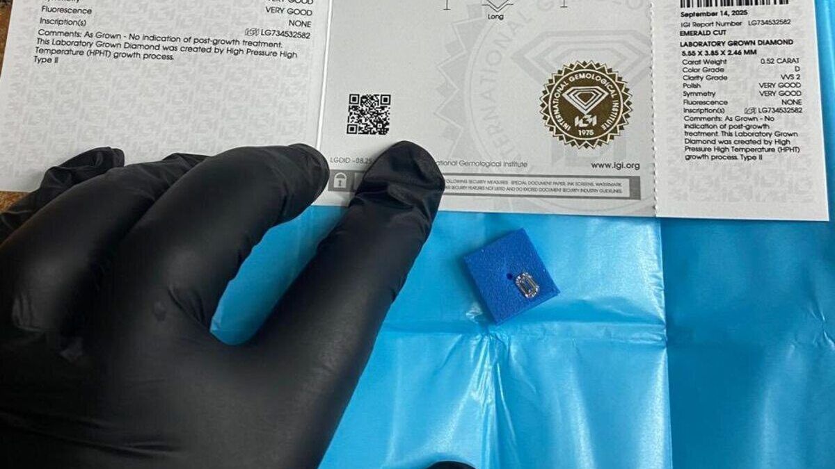 У Шегинях на Львівщині прикордонники виявили контрабанду діамантів і айфонів