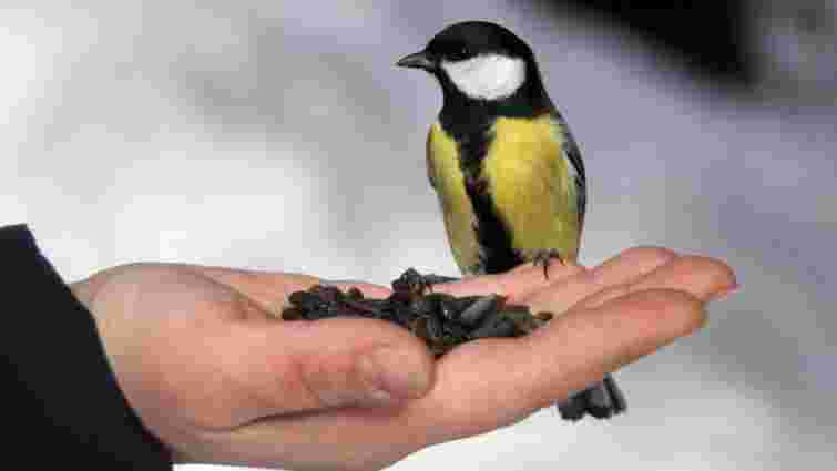 Мотайте на вус: усі фразеологізми, які треба знати на НМТ з української мови