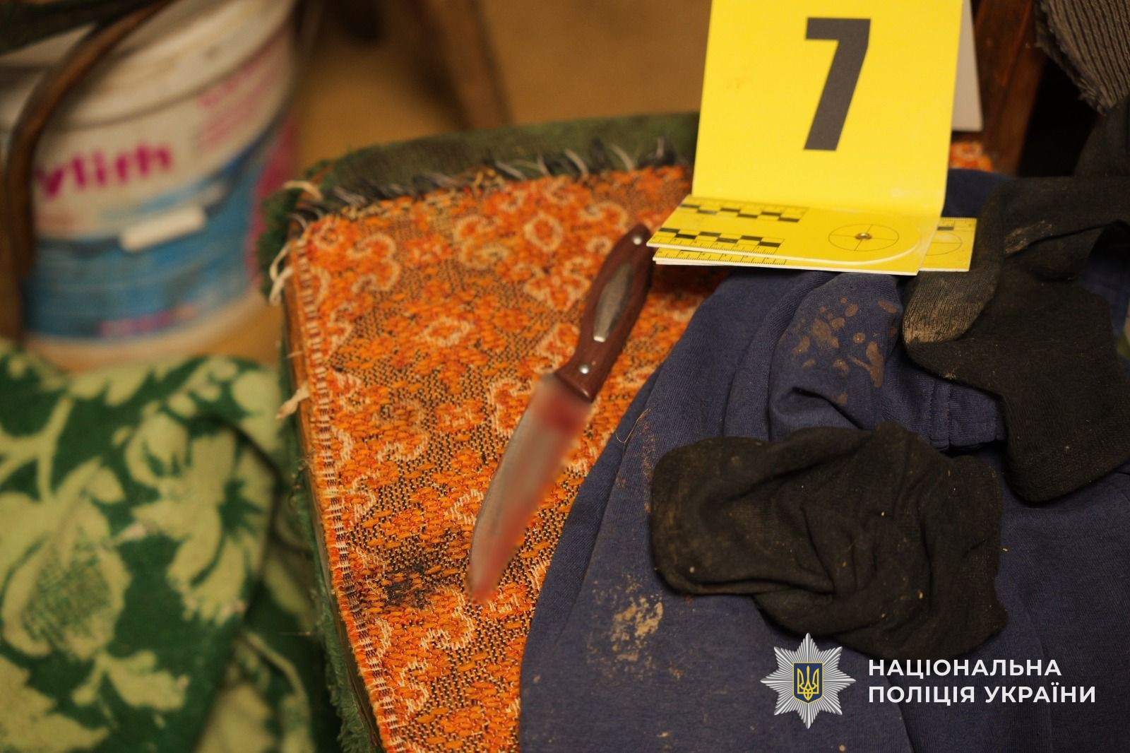 Закарпатець жорстоко вбив подружжя пенсіонерів