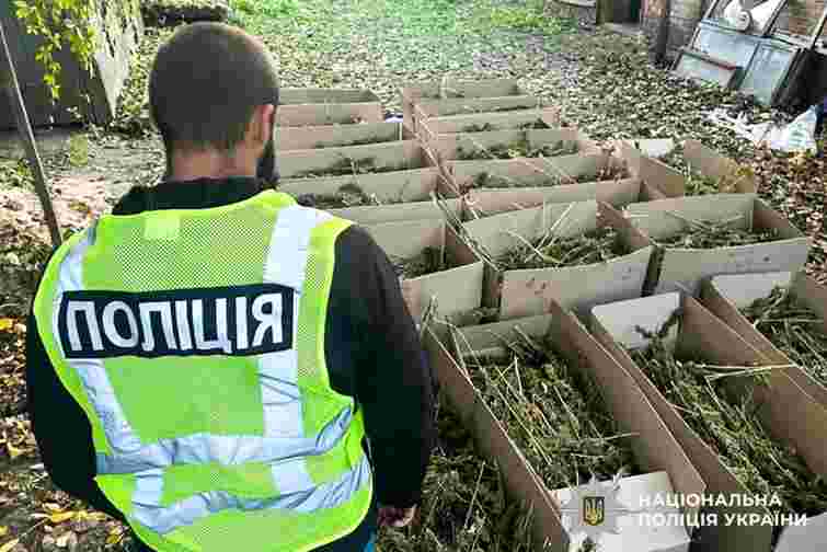 У закинутому будинку на Рівненщині виявили склад з канабісом на 7,5 млн грн