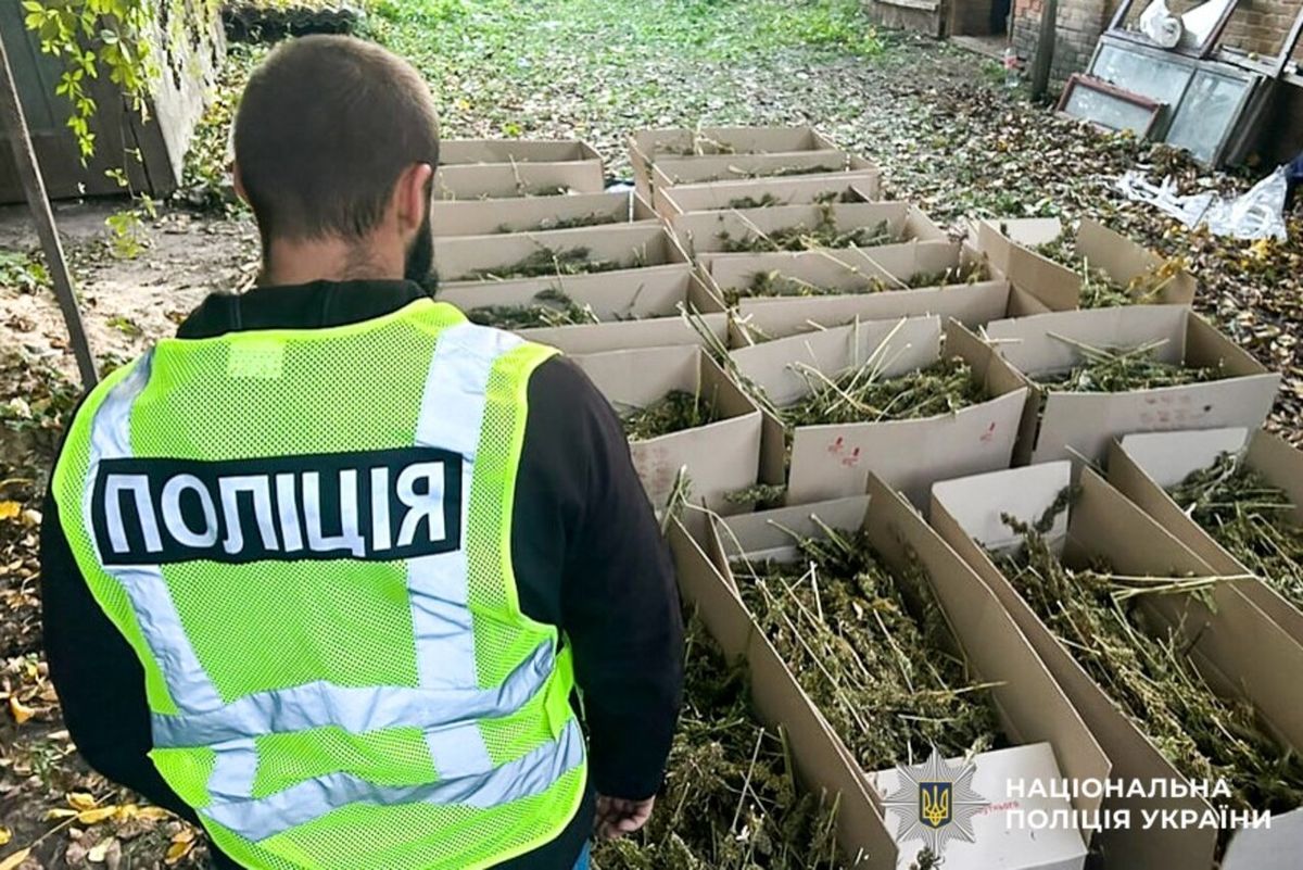У закинутому будинку на Рівненщині виявили склад з канабісом на 7,5 млн грн