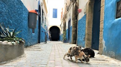 У ЄС планують запровадити нові правила оренди житла, які вплинуть і на туристів