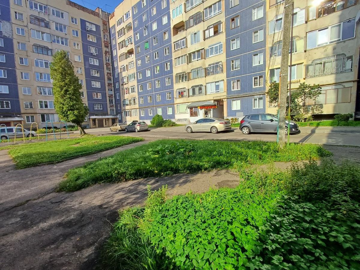 Міська рада відсудила в підприємців землю під неіснуючою автомийкою на Сихові
