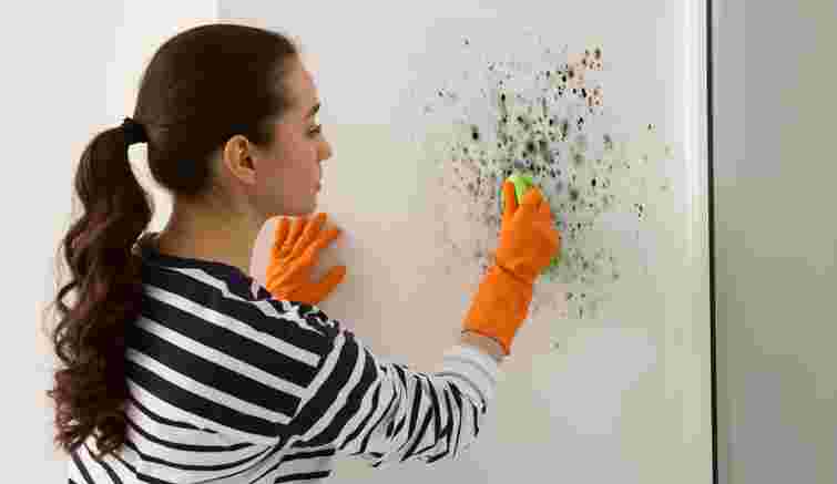 Як позбутися цвілі на стінах: простий спосіб, який дійсно працює