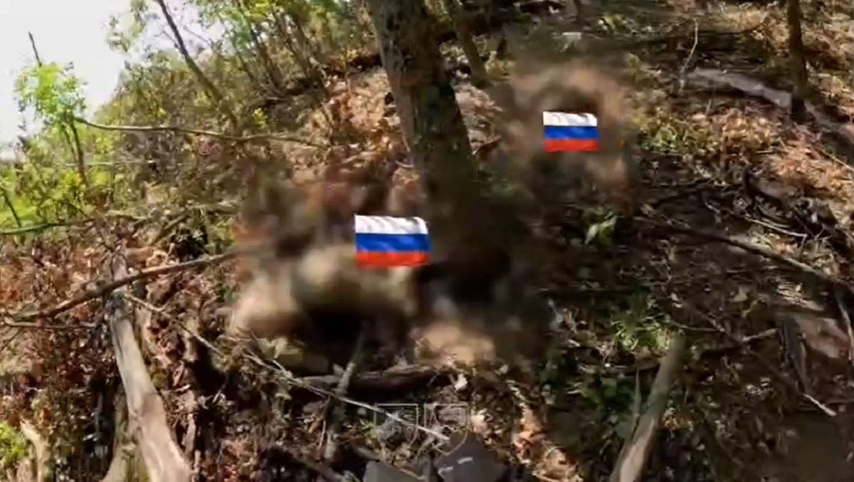 Бійці ССО влаштували засідку в тилу росіян на Північно-Слобожанському напрямку