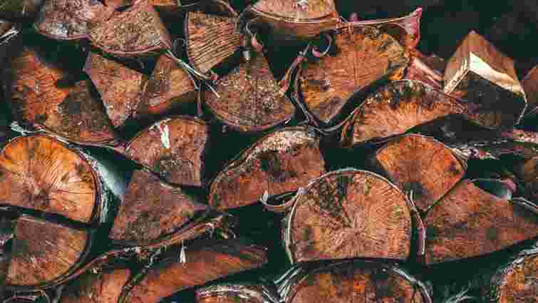 Типові помилки господарів: як не варто зберігати дрова на зиму