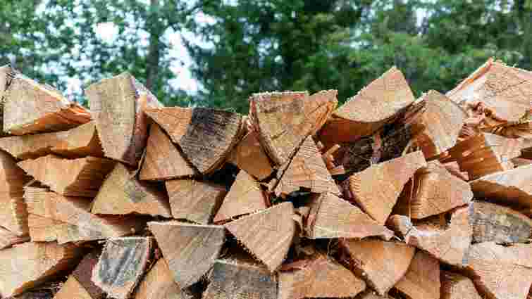 Як правильно сушити та зберігати дрова: корисні поради
