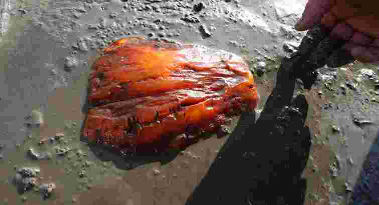 Фірма колишнього львівського митника видобуватиме бурштин на Рівненщині