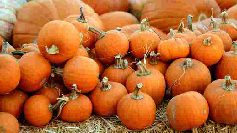 Вам знадобиться чимало місця: як правильно зберігати гарбузи 